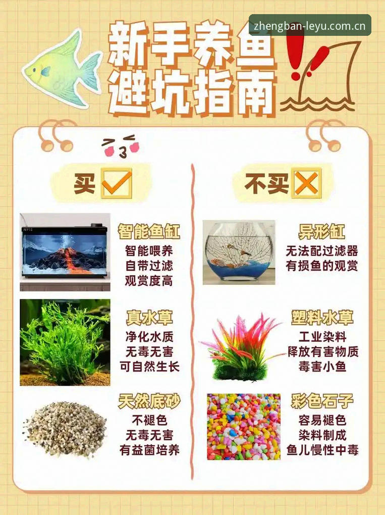 揭秘乐鱼体育平台使用教程：新手必知的五件事，避开新手区90%的坑